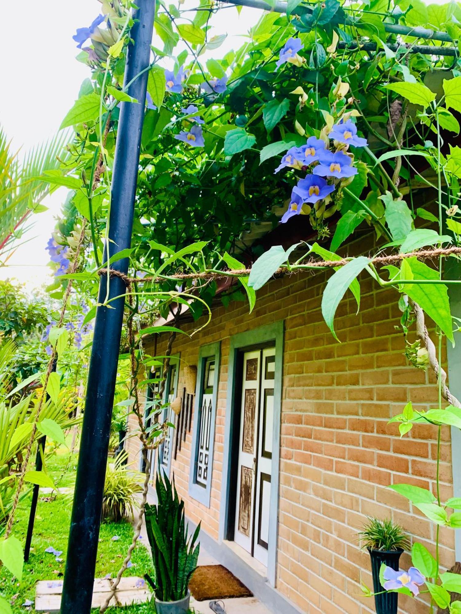 Ashok Villa Weligama Exterior foto