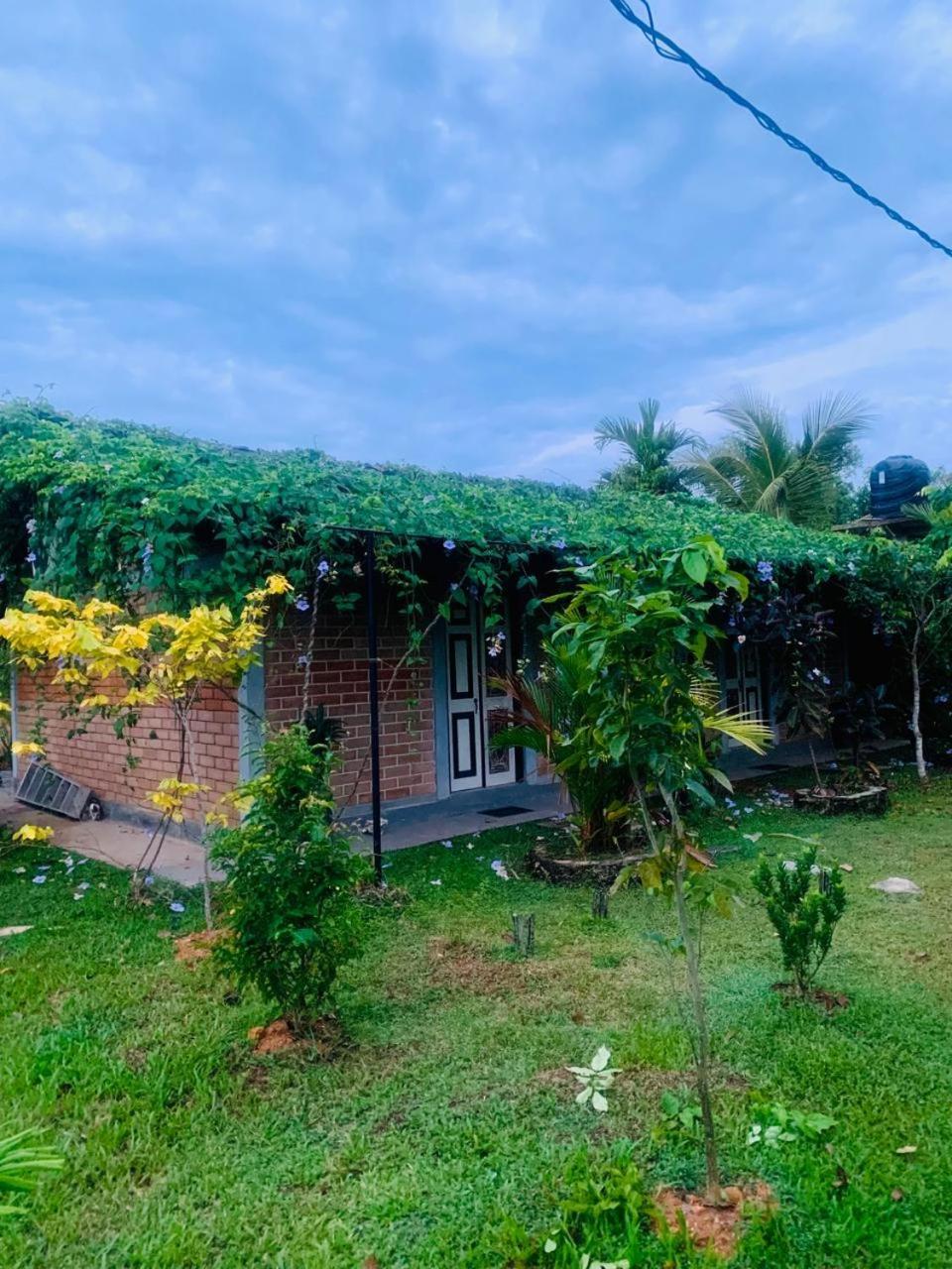 Ashok Villa Weligama Exterior foto