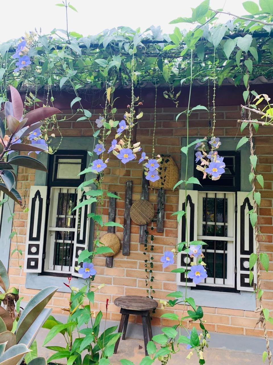 Ashok Villa Weligama Exterior foto